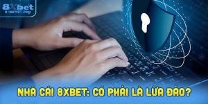 nhà cái 8XBET: Có phải là lừa đảo?
