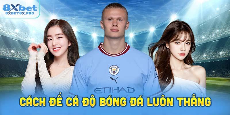 Cách để cá độ bóng đá luôn thắng: Hiểu rõ bản chất vấn đề 