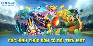 Các hình thức săn cá đồi tiên mặt tại 8XBet 