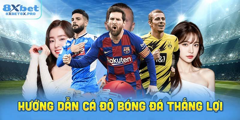 Hướng dẫn cá độ bóng đá thắng lợi cho người mới bắt đầu