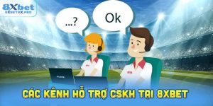 Các Kênh Hỗ Trợ Chính Thức Từ 8xbet